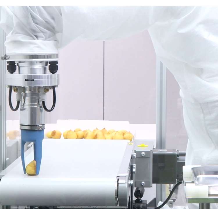 Bras robotique CNC 6 axes avec - Linear Rail avis et prix